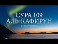Download Lagu Сура Аль-Кафирун 10 раз красиво читает шейх Мухаммад Сиддик. #Куран #Сунна #Муслим #пророкмухаммадﷺ