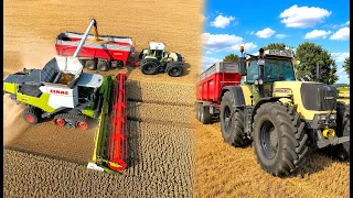 Getreideernte 2026 landwirtschaftlicher Familienbetrieb bei der Weizenernte, Mähdrescher & Traktoren
