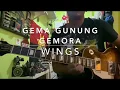 Download Lagu Gegar Gunung Gemora (Wings) - Full Song Guitar Cover