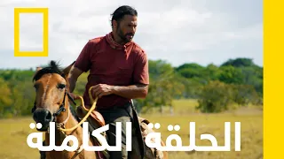 البراري السامة أساليب البقاء الهروب من الأمازون ناشونال جيوغرافيك أبوظبي 