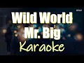 Download Lagu Wild World - Mr. Big Karaoke HD Version