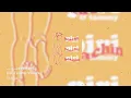 piri, Tommy Villiers - beachin