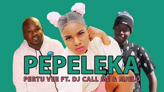pertu vee pepeleka ft dj call me u0026 mjelo 