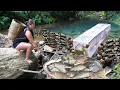Lagu Building Bamboo Fish Traps from Scraps – Catching Tons of Fish in Forest Streams