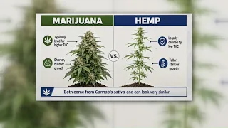 NC lawmakers pushing bill aimed at cracking down on hemp products