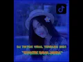 Download Lagu DJ TIKTOK SYANTIK SAMA JANDA TERBARU 2021 FULL BASS