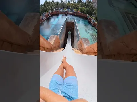 Are You Brave Enough for the Leap of Faith? 🦈🌊