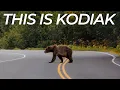 This is Kodiak Alaska Nature and Wildlife 4K Cinematic