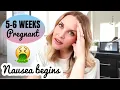 5-6 WEEK PREGNANCY UPDATE Nausea cravings food aversions Baby