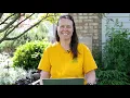 PETITTI How Do I Your Late Spring 2020 Garden Questions Answered