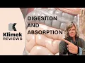 NCLEX PREP DIGESTION AND ABSORPTION