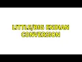 Endian conversion
