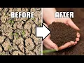 5 Ingredients to Fix Any Soil the lazy way