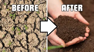 5 Ingredients to Fix Any Soil the lazy way