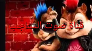 اغنية ولاية بطيخ شرب شرب معزوفة فدشي 