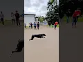Dog race Maharashtra 09