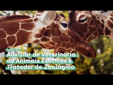 Download MP3 Curso de Auxiliar de Veterinária de Animais Exóticos e Tratador de Zoológico