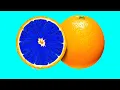 Hidden Patterns Inside Fruits Vegetables and Mushrooms stop-motion 3
