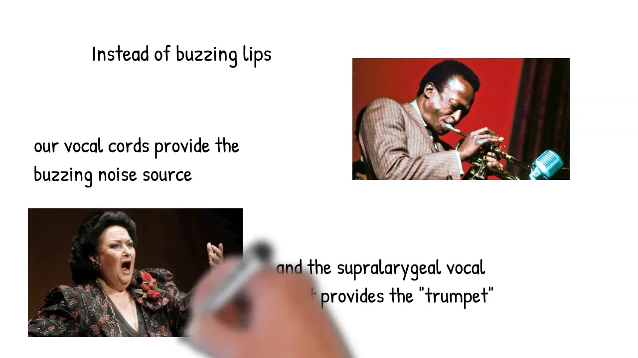 Articulatory Phonetics 6: Voicing