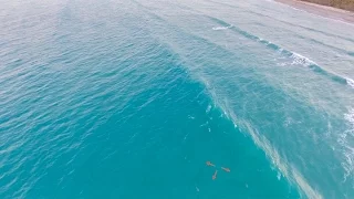 BOAT REPAIRS and Sharks off Jupiter!