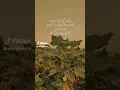 Download Lagu Tm mare zindgi ke vo kami hu Jo tmky Siwa koi pure ni kr skta jiske kami sare zindgi rhy ge meno 😭
