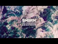 SNBRN - Sometimes (feat. Holly Winter) [Official]