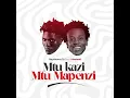 Raydiance tz X Msomali - Mtu kazi Mtu mapenzi ( Official Audio )
