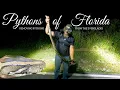 Pythons of Florida - Adventure Life