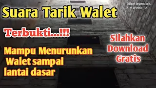 suara tarik walet terbukti link download ada di deskripsi