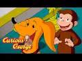 George Brings Hundley Home Curious George Kids Cartoon Kids Movies