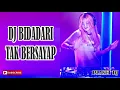 Lagu DJ BIDADARI TAK BERSAYAP 2019
