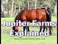 Exploring Florida Jupiter Farms Explained