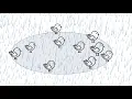 Genetic Drift Founder Effect vs Bottleneck