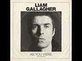 Liam Gallagher - Wall of Glass