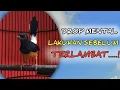 Download Lagu MURAI BATU DROP MENTAL? Pulih Dengan MUDAH Dan SIMPEL 