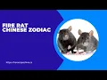 Fire rat chinese zodiac