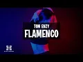 Download Lagu Tom Enzy - Flamenco