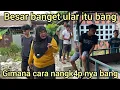 Lagu KERAMAIAN DI PINGGIR JALAN TERNYATA RUMAH INI DI HUNI ULAR PALING DI TAKUT1 AMAR PD