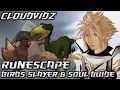 Runescape Birds Slayer Assignment Soul Guide