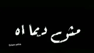 أبطال ومشتهم مرا دندنها