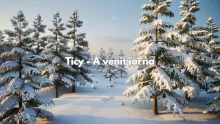 Ticy - A venit iarna