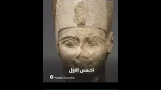 شكل الملك احمس Short Shorts 