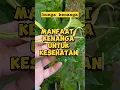 Download Lagu manfaat kenanga untuk kesehatan #manfaatkenanga #manfaatkesehatan #tipssehat #jamu #jamuherbal