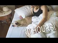 ASMR Pug Snoring - 10 HOURS