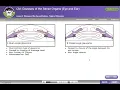 HCGTV Course - Glaucoma Coding How to Report Different Stages in Each Eye in ICD-10-CM