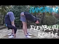 Beginner Hamstring Flexibility Routine