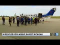 98 rescued dogs arrive in West Michigan