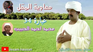 الملك معاوية المقل عابرة 34 الشاعر محمد احمد الحبيب 