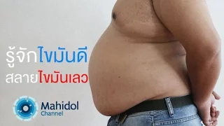 ไขมันในช่องท้องมีอันตรายอย่างไร และทำไมถึงควรกังวลแม้คนจะไม่อ้วนมาก