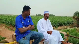 جديد المادح عبدالمحمود نور 